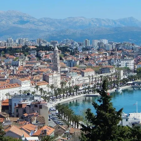 Daire Rosemary Split